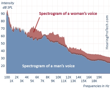 Spectrogram of a male voice and a female voice